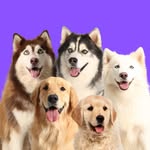 Turma do Hiro