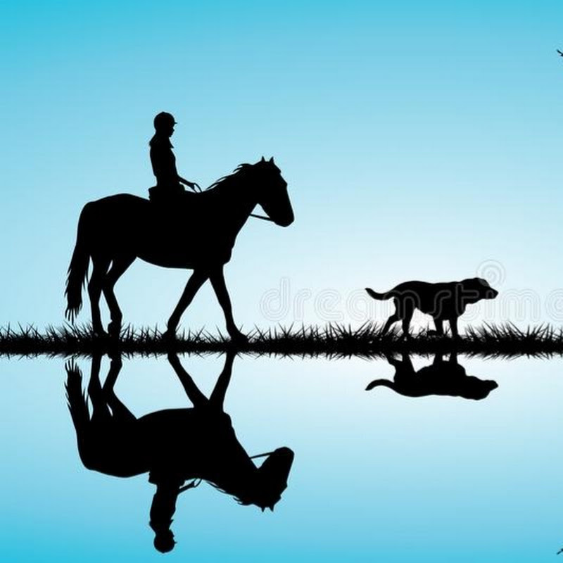 Animal Spirit