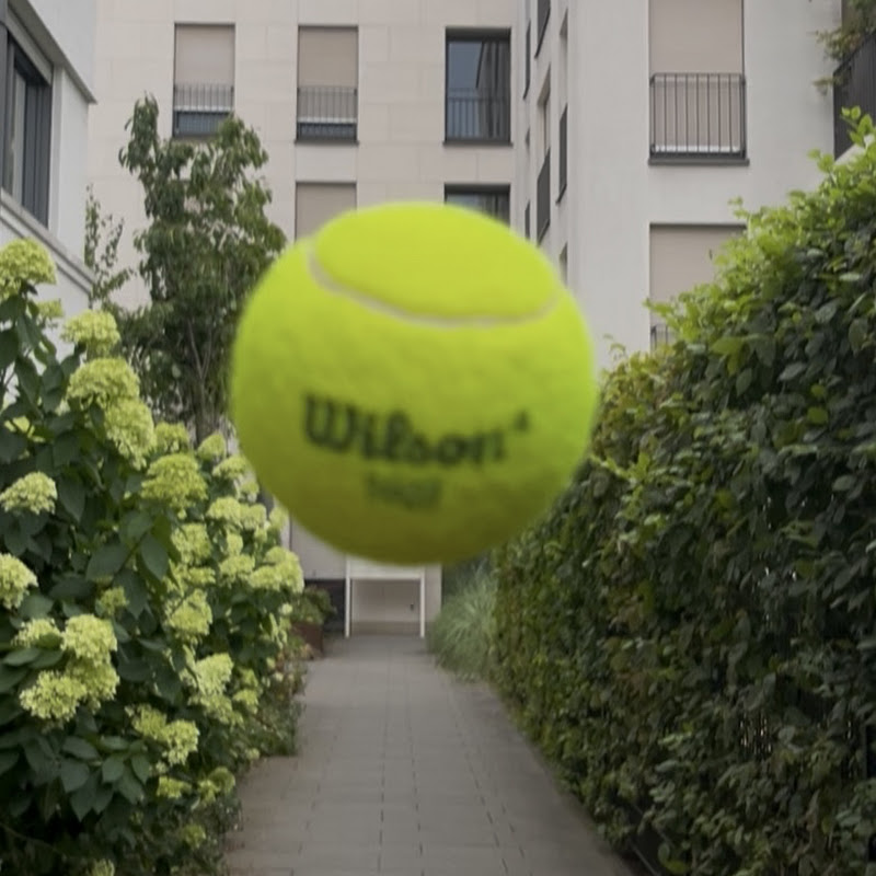 Young Tennis Pro🎾