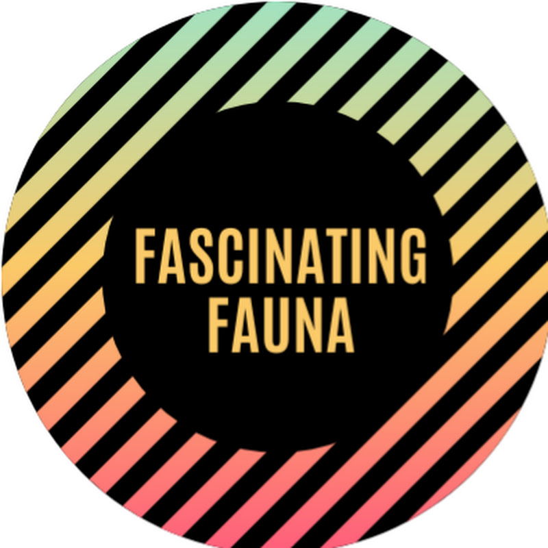 Fascinating Fauna