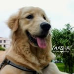 Masha