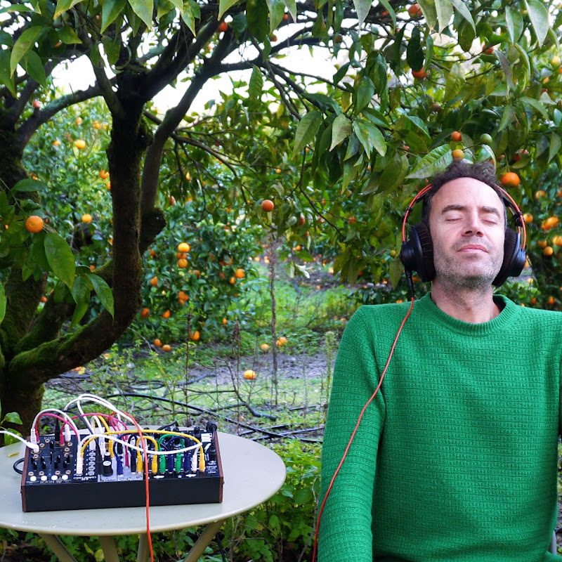 Bio Music Vibrations