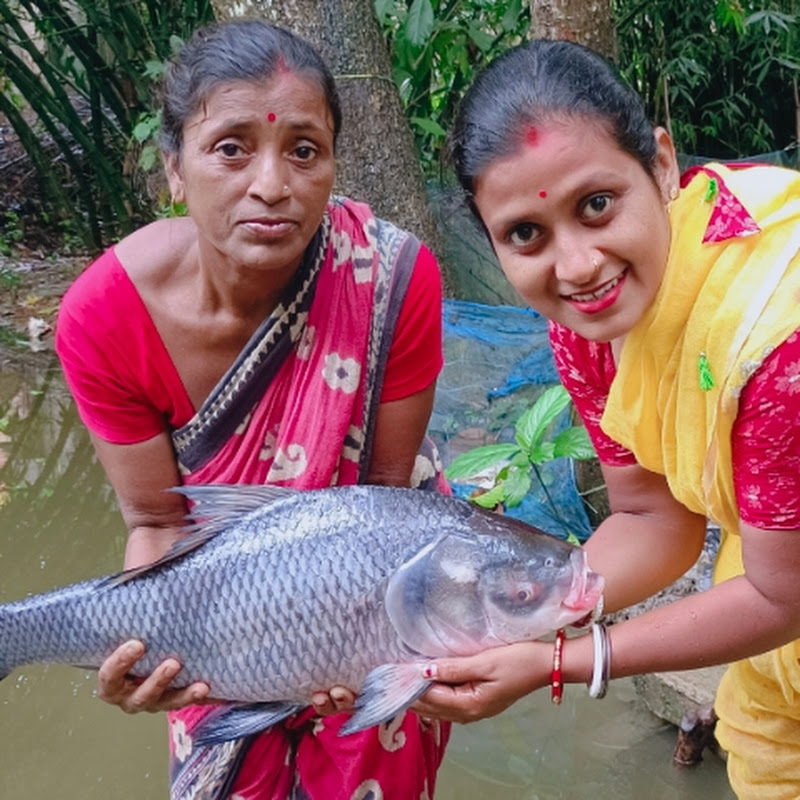 My Village Life 
