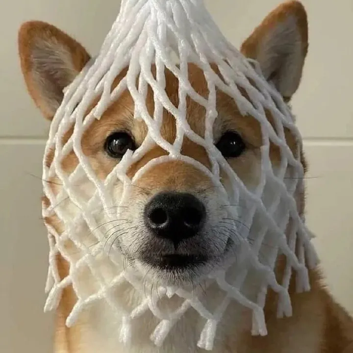 zonkozoom
