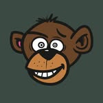 mystic monkeys & feathers