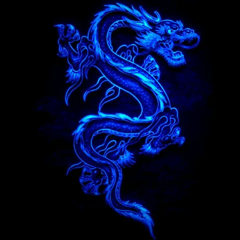 🐉⚔⚘The Masked Dragon⚘⚔🐉