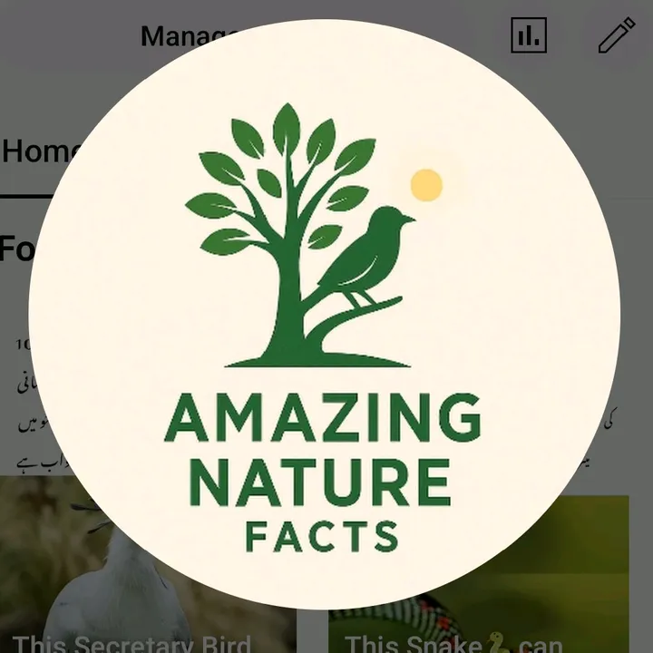 Amazing Nature Facts🐽