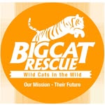 bigcatrescue