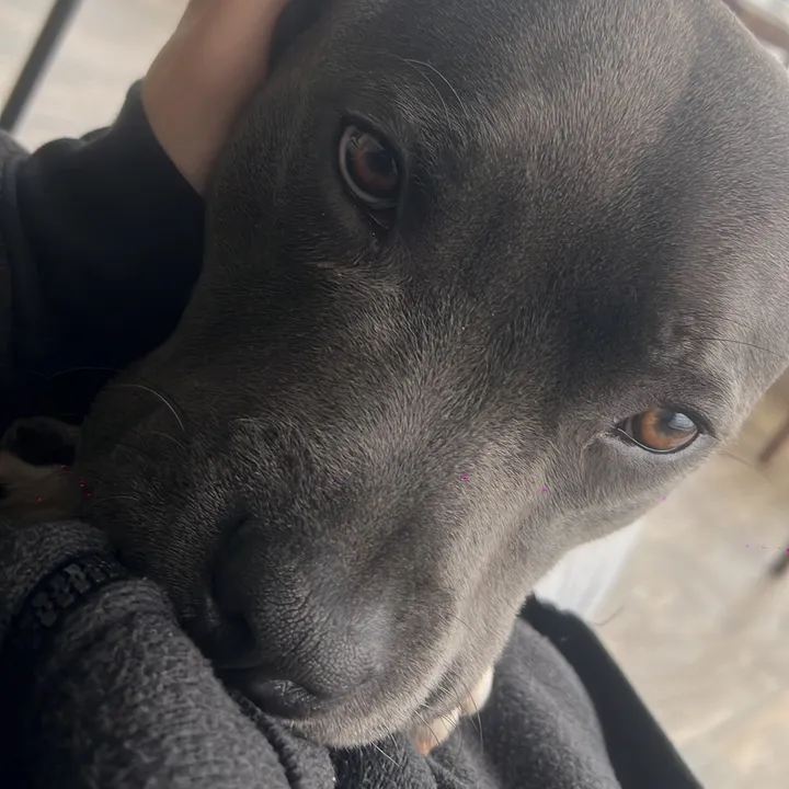 Nacho