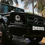 exotics spotted in kannur
