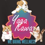 Yoga Kawa🐶🐱🧘‍♀️puppy/kitten yoga🧘‍♂️🐶🐱