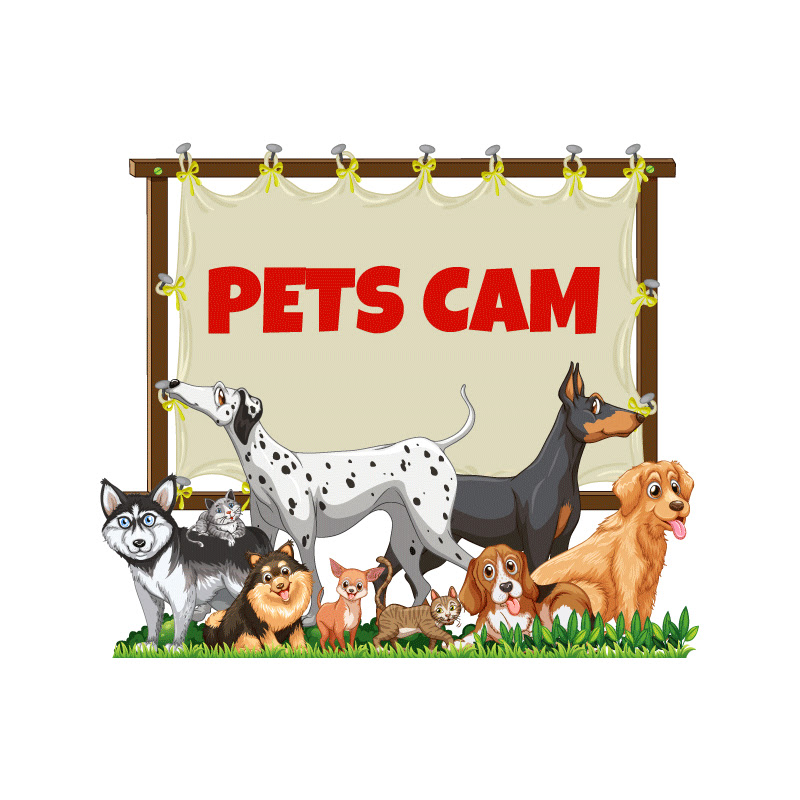 PETS CAM