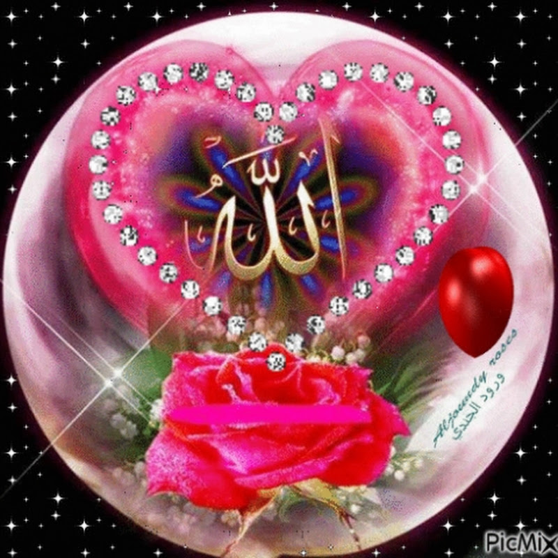 Quran Translation In Urdu and Marhaba Collection