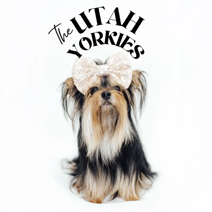 The Utah Yorkies