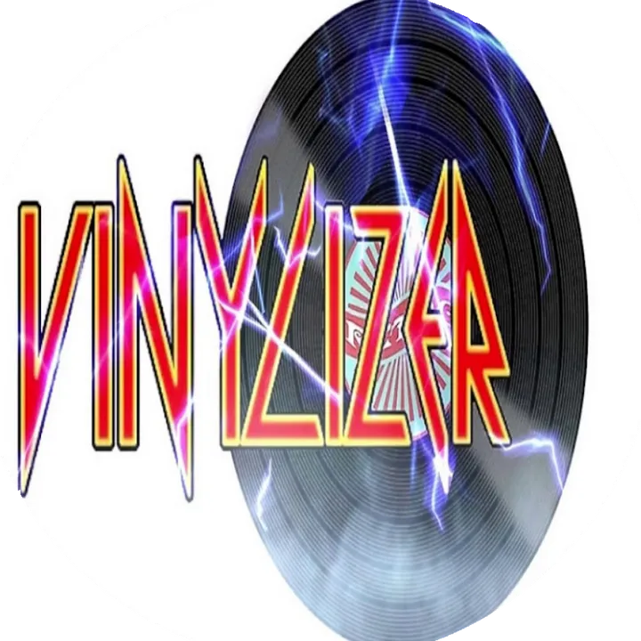 VINYLIZER