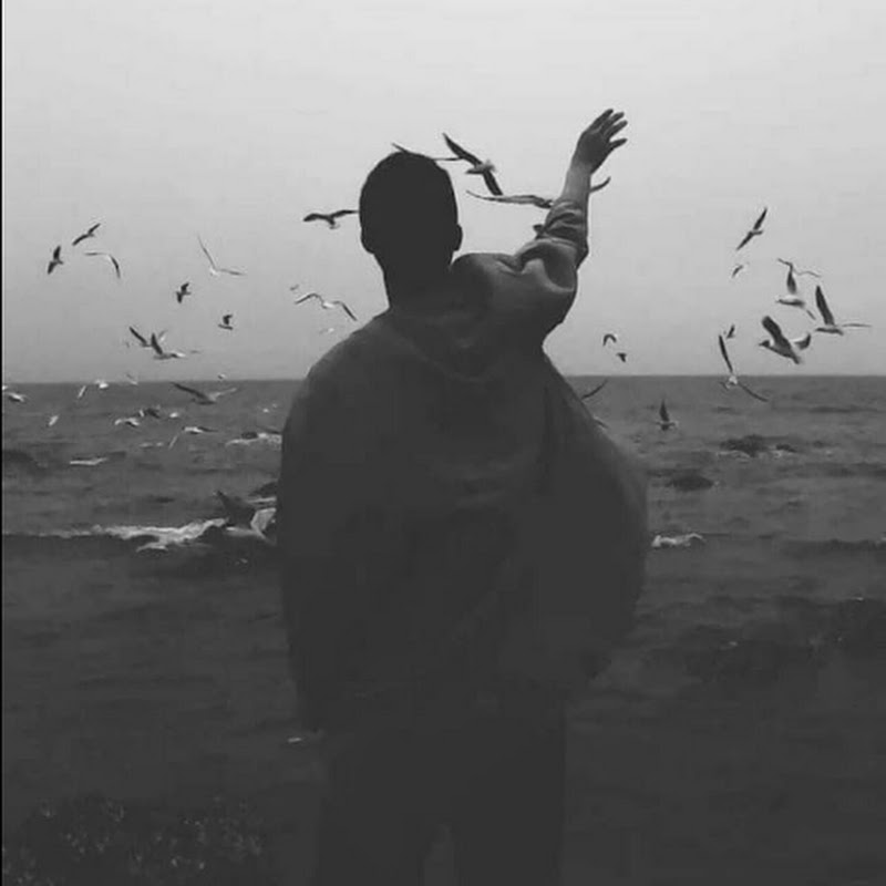 music song 