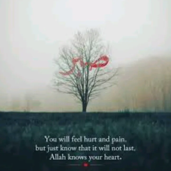 Hossriff 🎣🐙🦑🐬