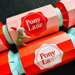 Pony Lane | Jen Young 🙋🏻‍♀️