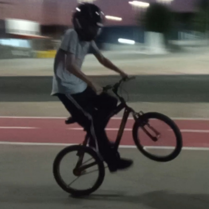 TheReal UltraSpeedRider