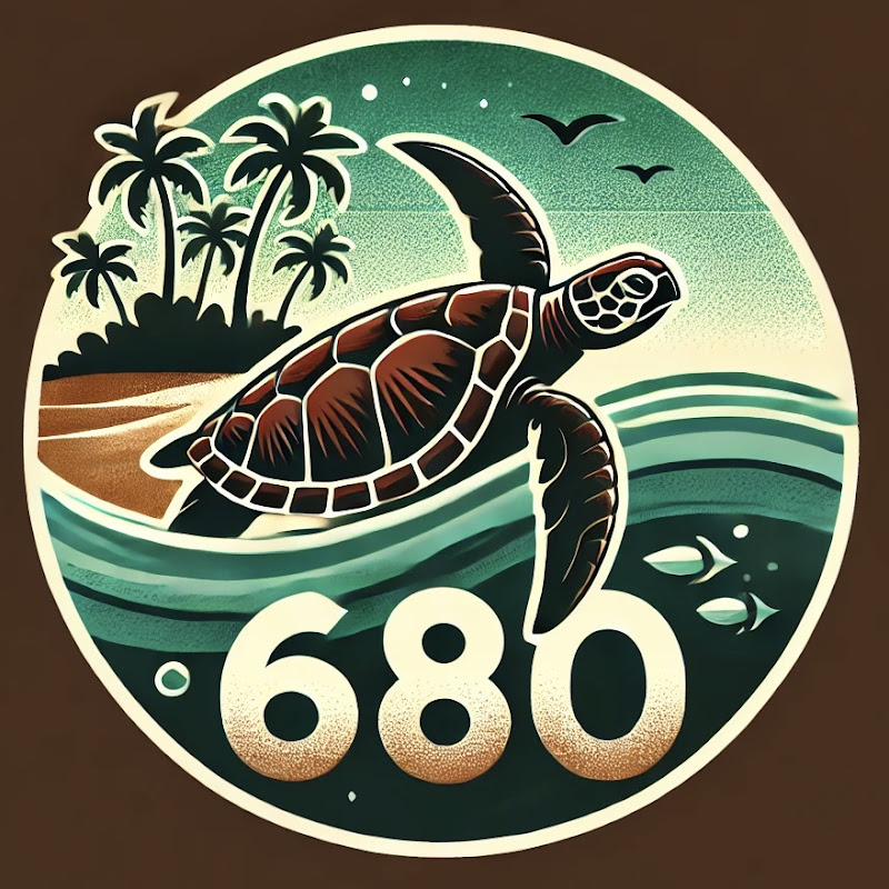 Turtle Vidz 680