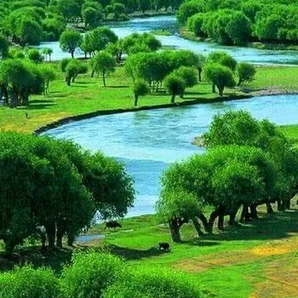 Mindof_nature