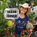 Urban Small Space Gardening