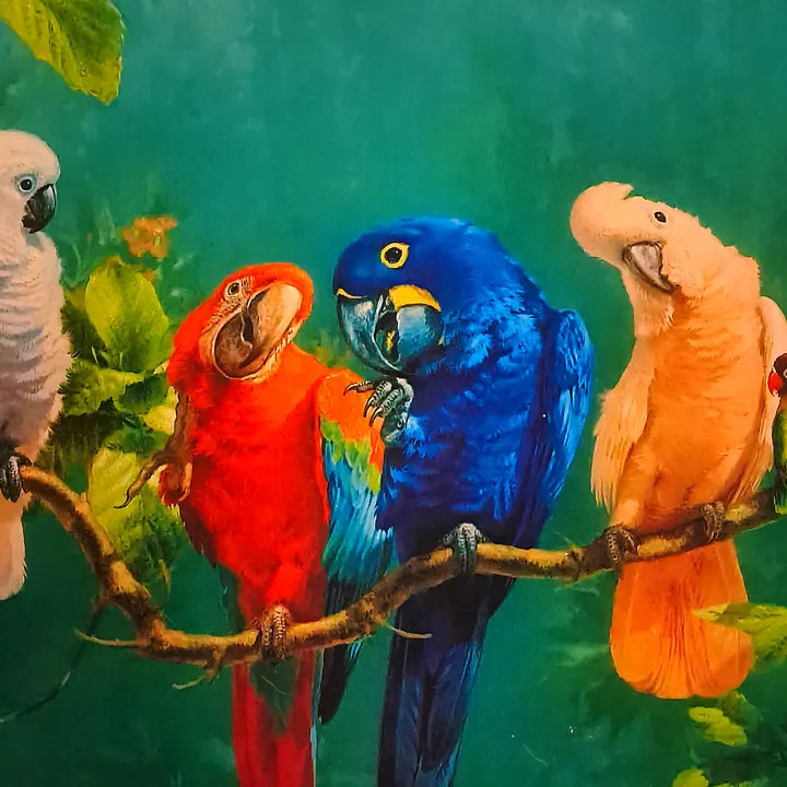 His Glory Came Gaming