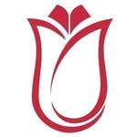 Türkiye Bursları