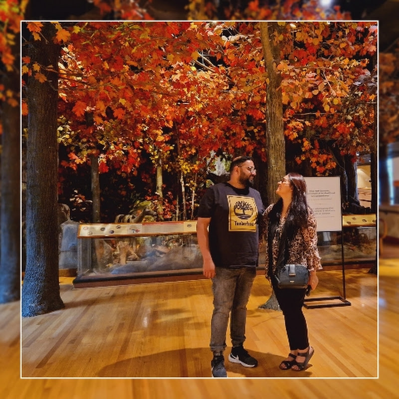 Afifa Faisal UK Vlogs