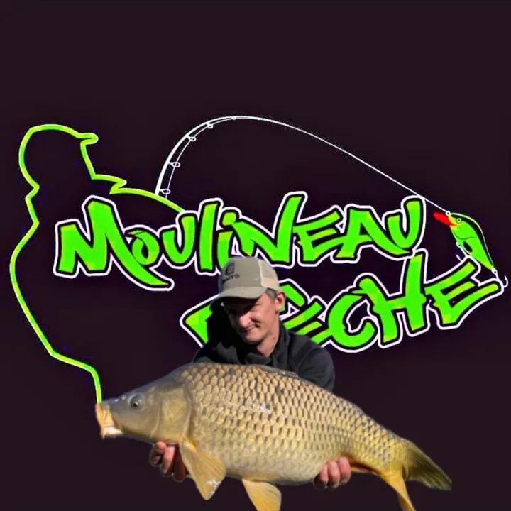 teamcarpethefurious85