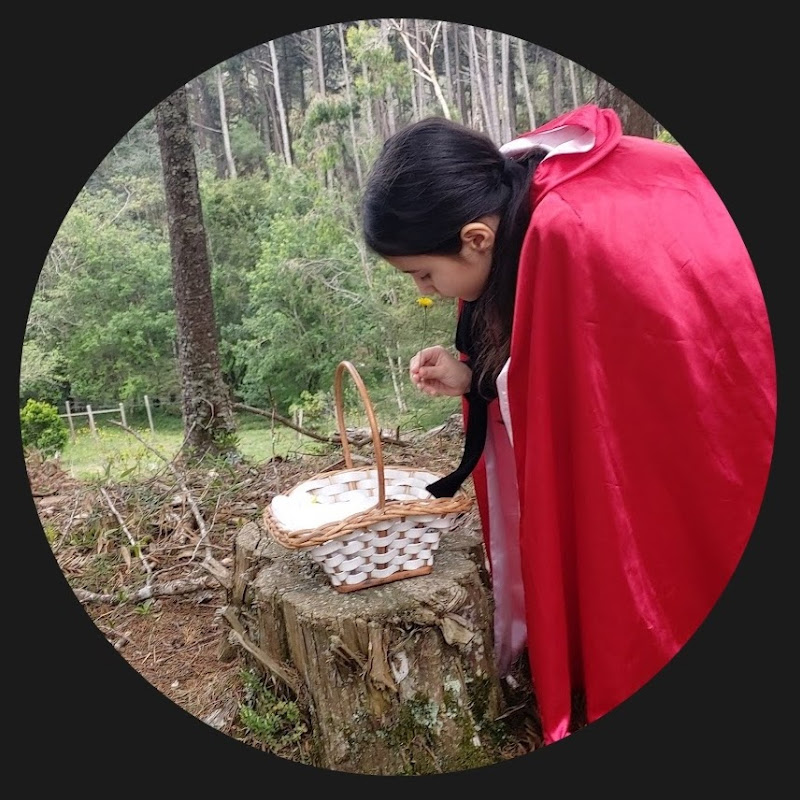 Alma Contadora de Historias