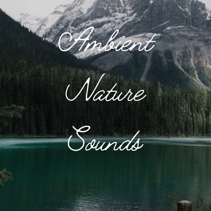 Ambient Nature Sounds