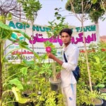 plants paragon pattoki