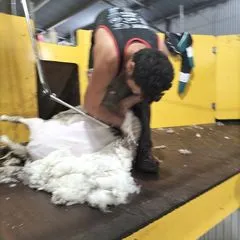 Rawiri Tuwhangai