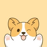 Little Corgo | Cindy