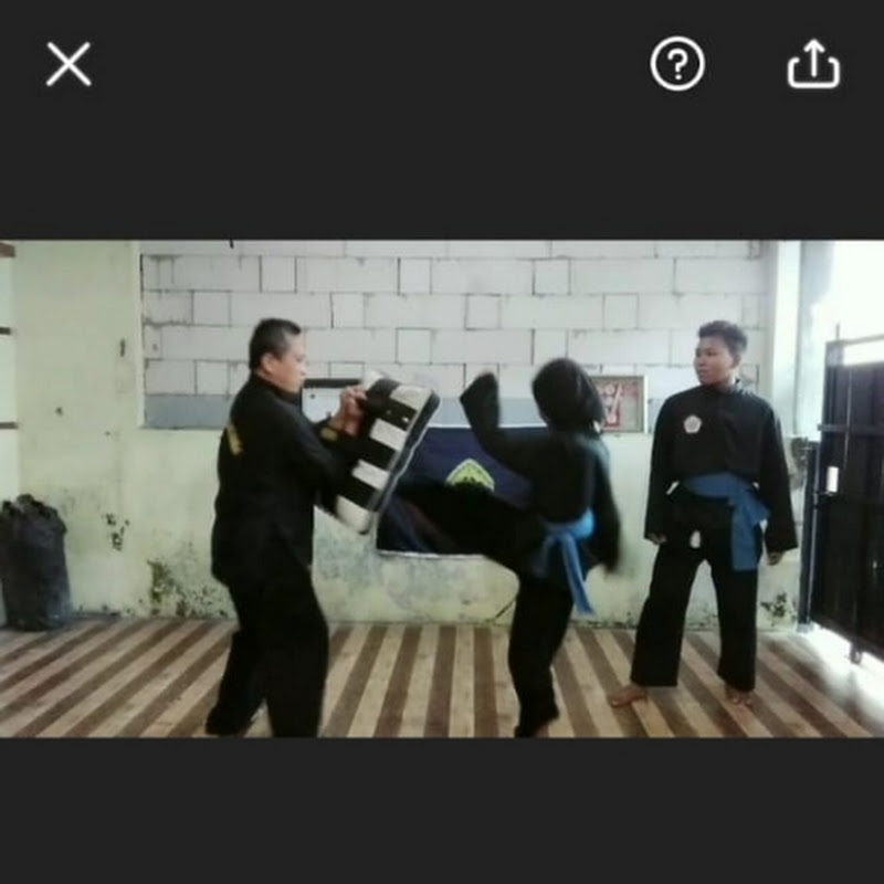 SILAT UFC