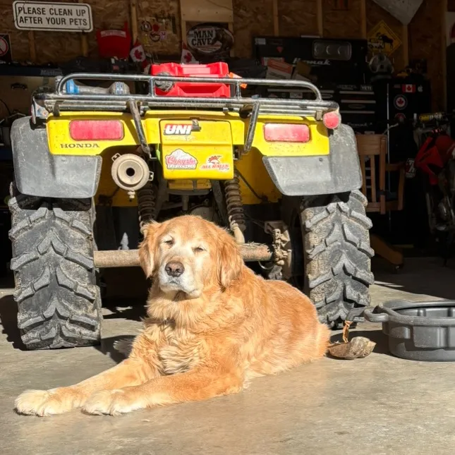 5.4Riley