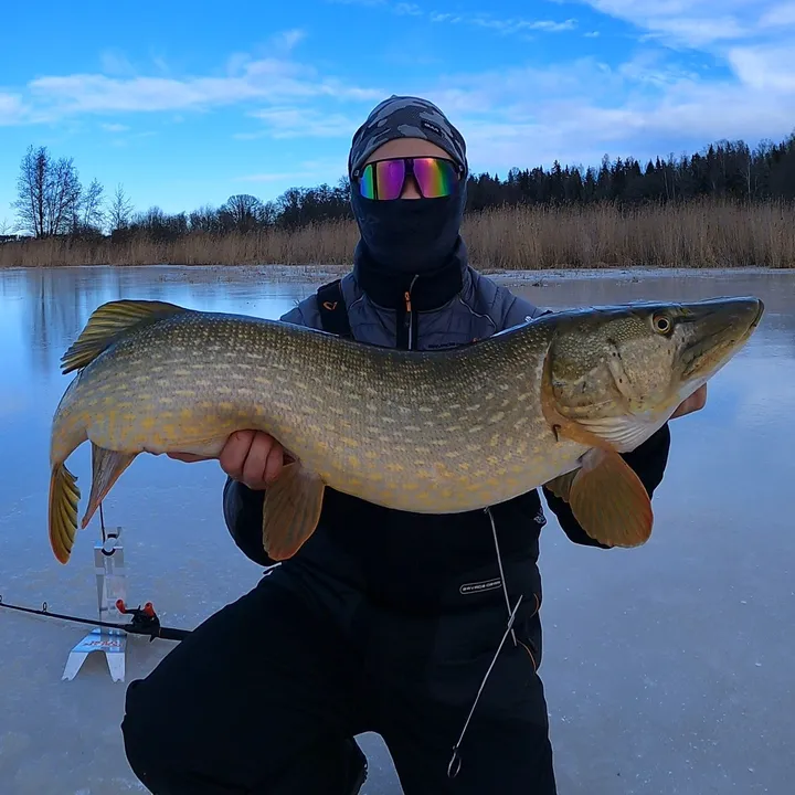 UnknownFishing