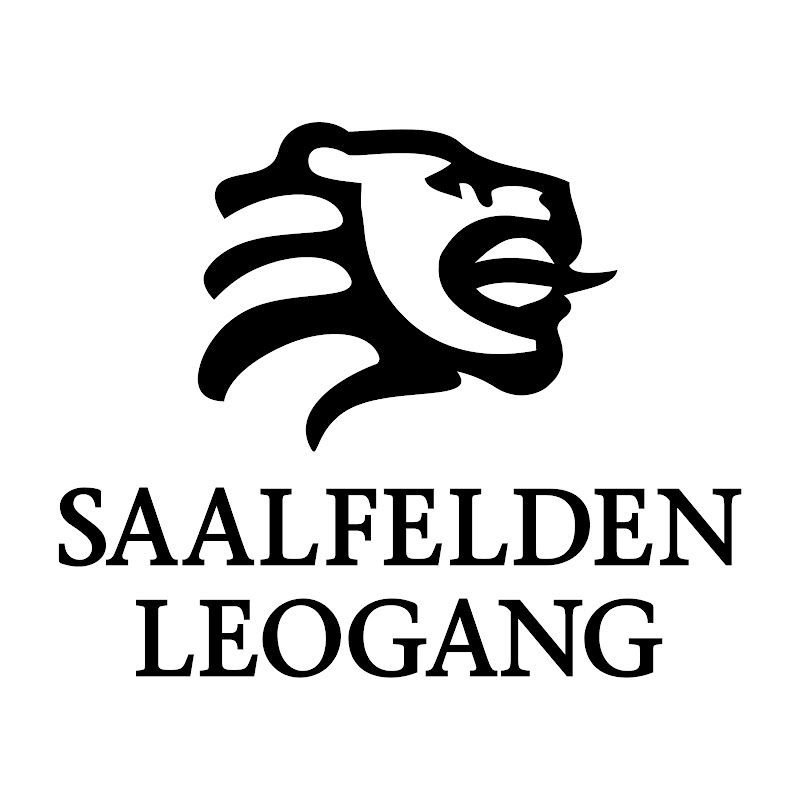 saalfeldenleogang