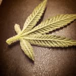 new_mexico_grown