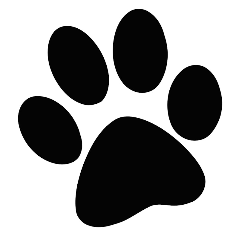 Paw-Nime Music