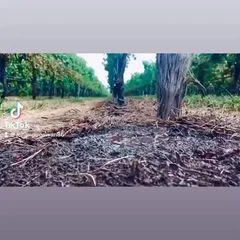 nawanfamilyvlog