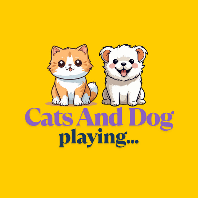 Cats And Dog Playing