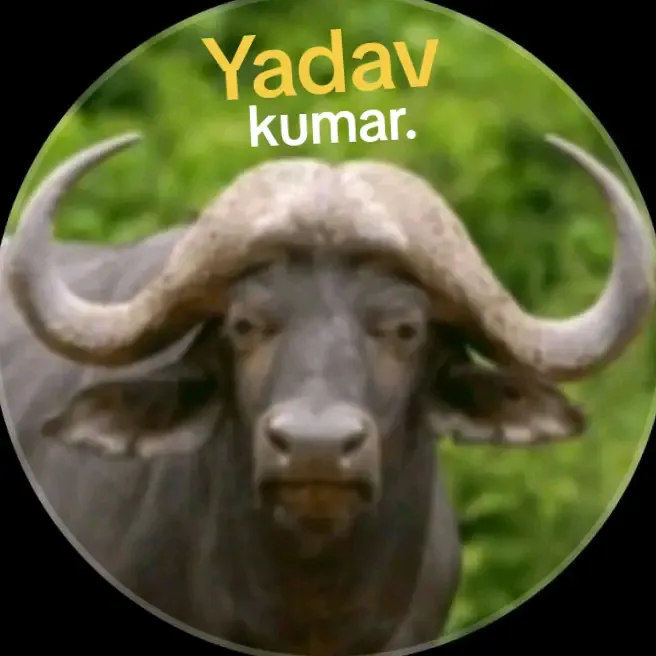 🇳🇵Yadav kumar🇳🇵