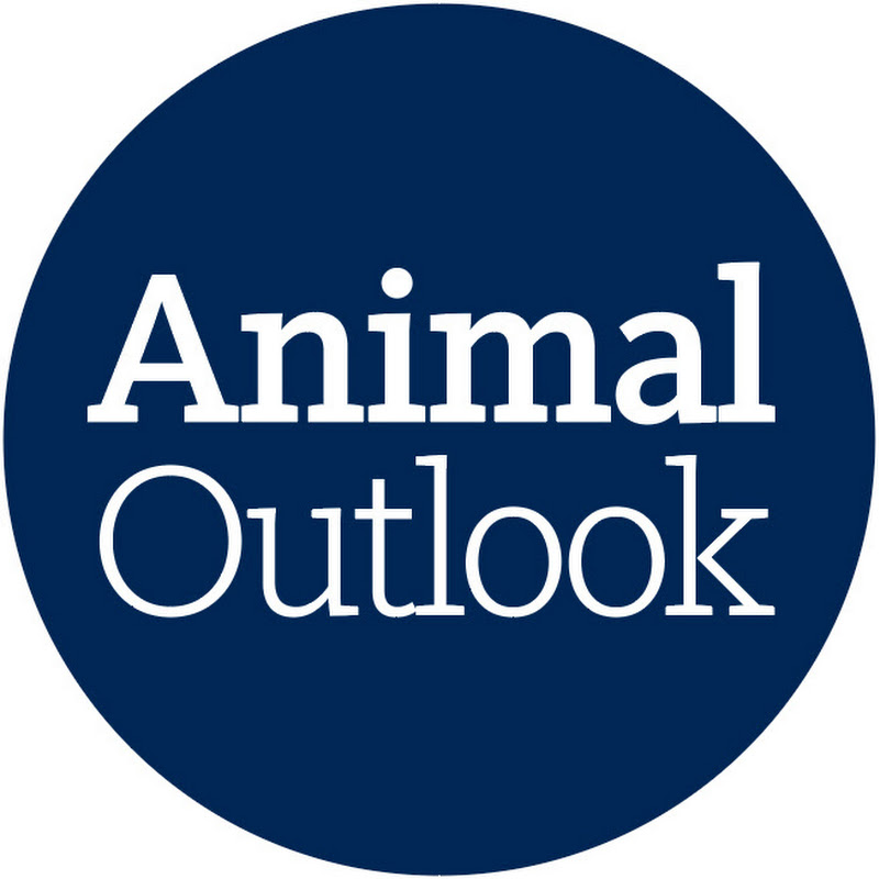Animal Outlook