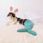 Sally Mermaid Cat