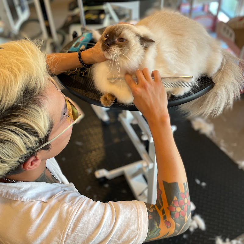 XMMO Cat Hotel and Spa