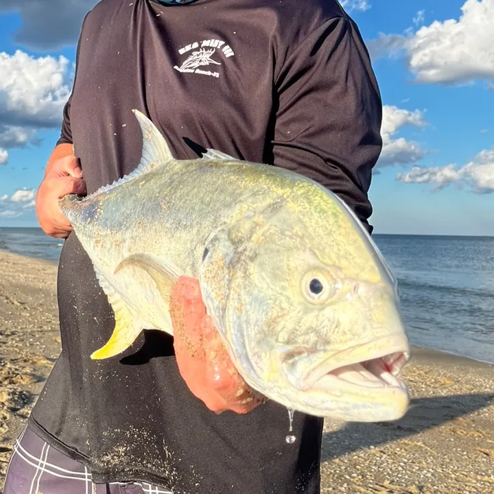 Reel Turner Fishing