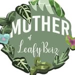 Romany | Mother of leafy boiz