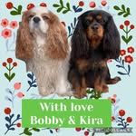 Sir Bobbus and Miss Kira